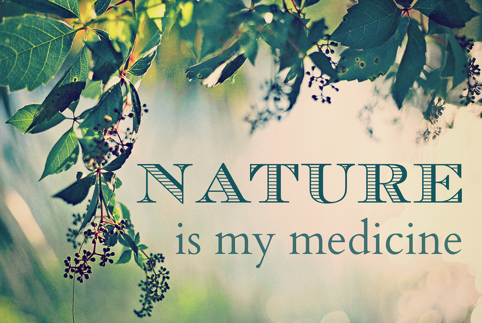 Nature Medicine Cover Letter Nature Medicine Cover Letter
