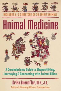 Animal Medicine Cover