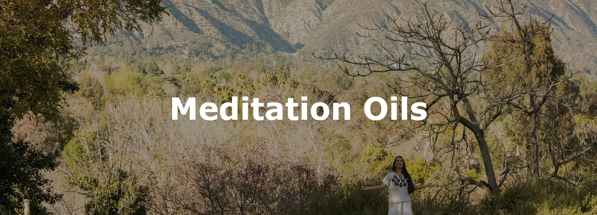 Meditation Oils Banner