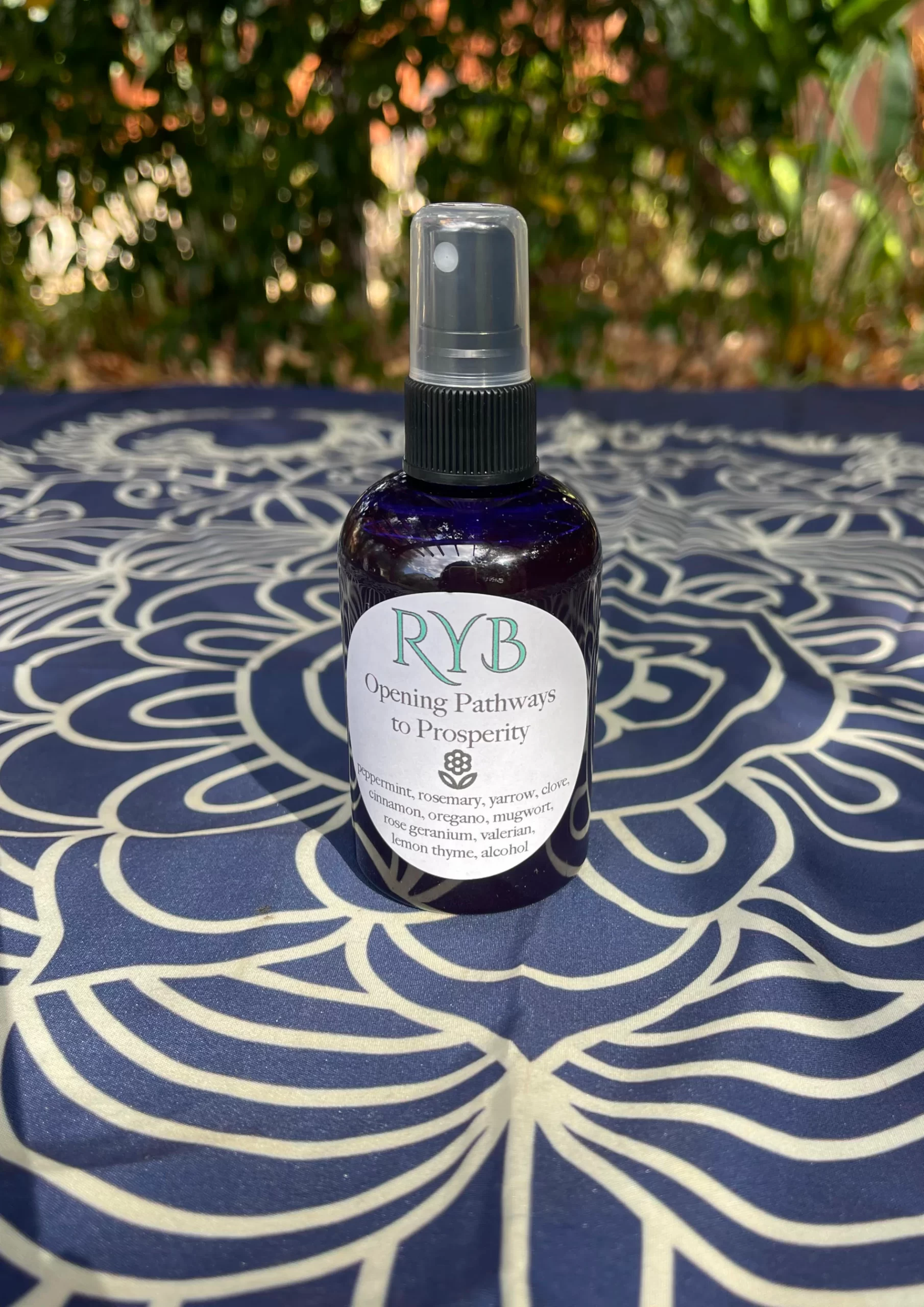 Florida water (4 oz.), Opening Pathways to Prosperity