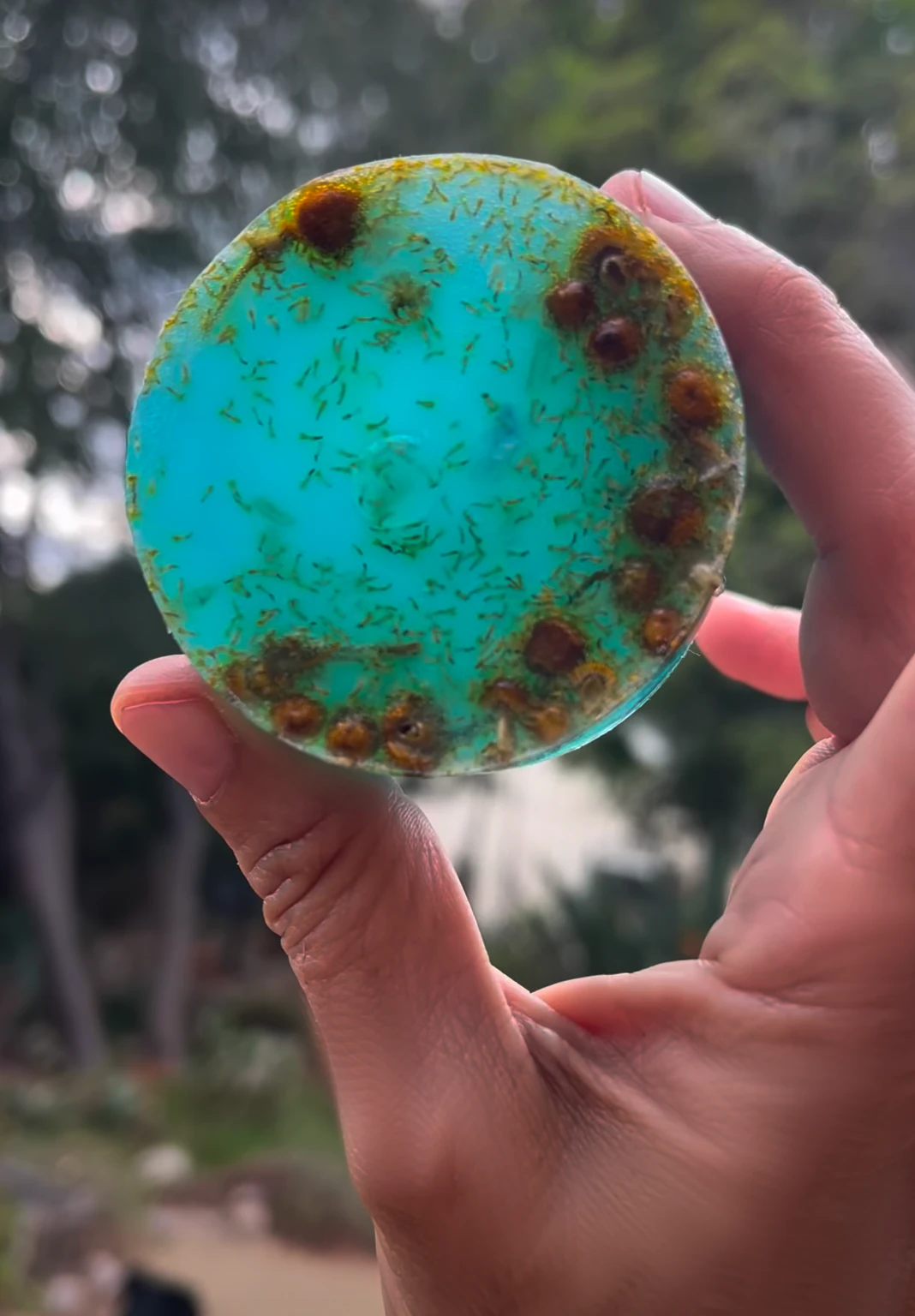 Prosperity & Abundance